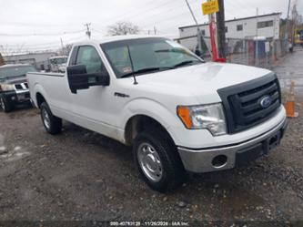 FORD F-150 XL/XLT