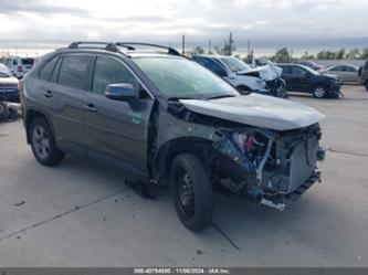 TOYOTA RAV4 HYBRID XLE