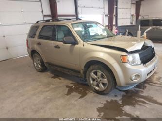 FORD ESCAPE XLT