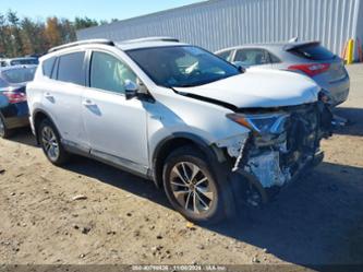 TOYOTA RAV4 HYBRID XLE