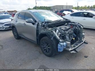 LEXUS NX 250