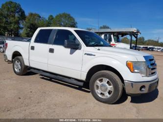 FORD F-150 XLT