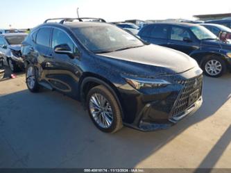 LEXUS NX 350H PREMIUM