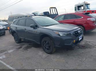 SUBARU OUTBACK WILDERNESS