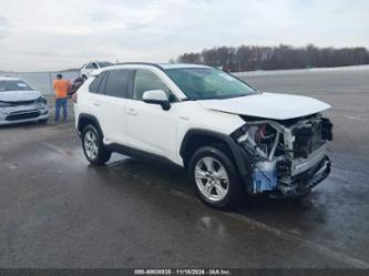 TOYOTA RAV4 HYBRID XLE