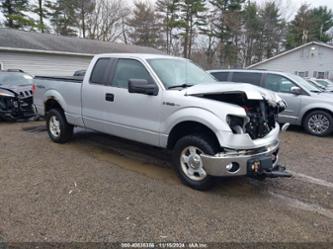 FORD F-150 XLT