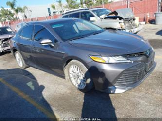 TOYOTA CAMRY HYBRID XLE