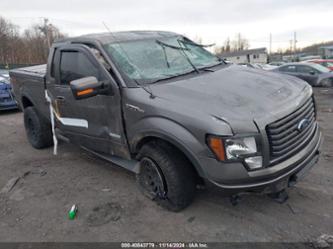 FORD F-150 FX4