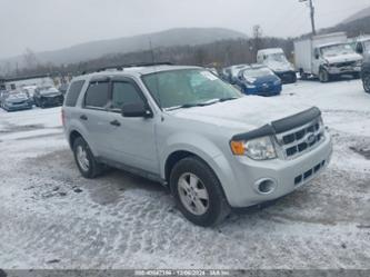 FORD ESCAPE XLS