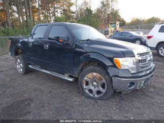 FORD F-150 XLT