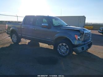 FORD F-150 PLATINUM