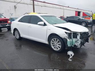 TOYOTA CAMRY HYBRID XLE