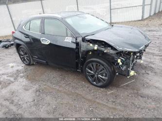 LEXUS UX F SPORT