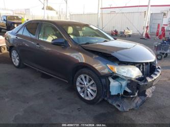 TOYOTA CAMRY HYBRID XLE