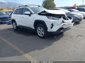 TOYOTA RAV4 HYBRID XLE