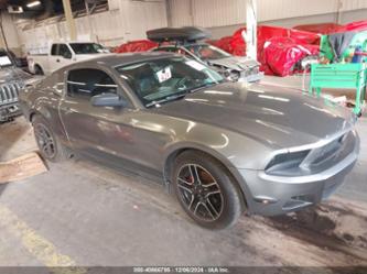 FORD MUSTANG V6/V6 PREMIUM