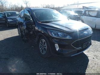 FORD ESCAPE SEL