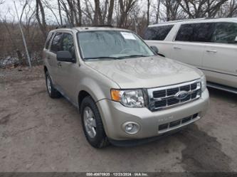 FORD ESCAPE XLT