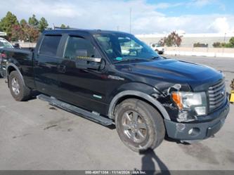 FORD F-150 FX4