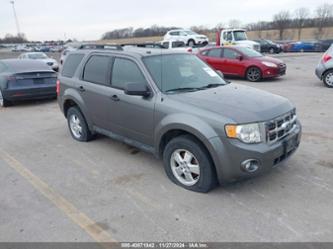 FORD ESCAPE XLT