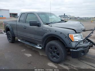 FORD F-150 STX/XL