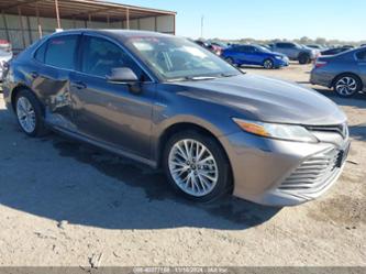 TOYOTA CAMRY HYBRID XLE HYBRID