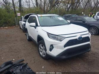 TOYOTA RAV4 HYBRID XLE