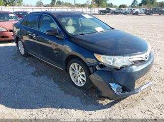 TOYOTA CAMRY HYBRID XLE