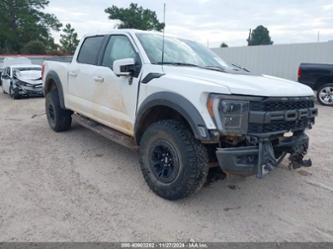 FORD F-150 RAPTOR