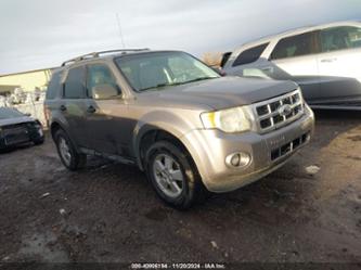 FORD ESCAPE XLT