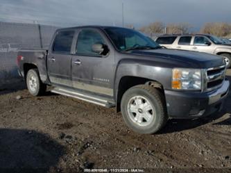 CHEVROLET SILVERADO 1500 LT