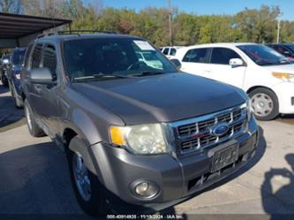 FORD ESCAPE XLT