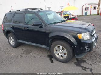 FORD ESCAPE LIMITED