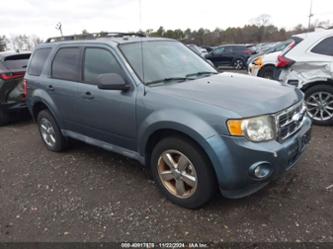 FORD ESCAPE XLT