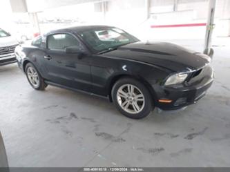 FORD MUSTANG V6