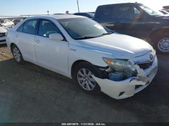 TOYOTA CAMRY HYBRID