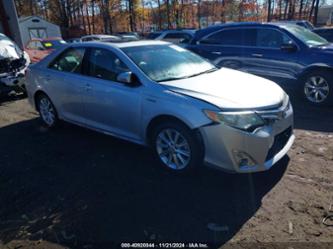 TOYOTA CAMRY HYBRID XLE