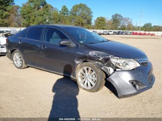 TOYOTA CAMRY HYBRID XLE