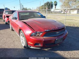 FORD MUSTANG V6/V6 PREMIUM