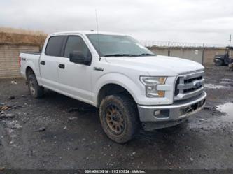 FORD F-150 XLT