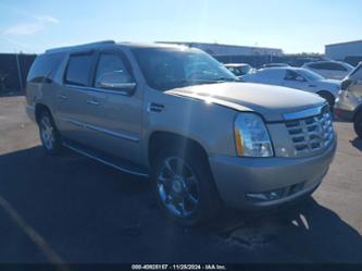 CADILLAC ESCALADE LUXURY