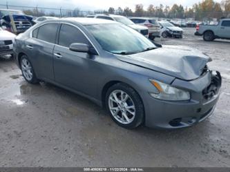 NISSAN MAXIMA 3.5 SV