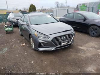 HYUNDAI SONATA ECO