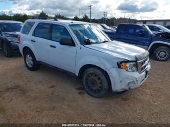 FORD ESCAPE XLT