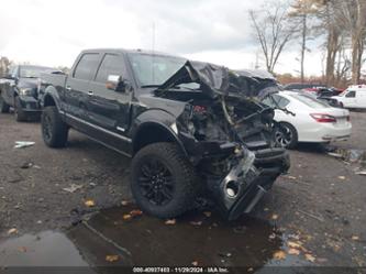 FORD F-150 PLATINUM