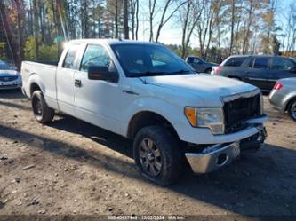 FORD F-150 FX4/LARIAT/XL/XLT