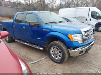 FORD F-150 XLT