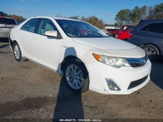 TOYOTA CAMRY HYBRID XLE