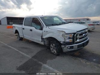 FORD F-150 XLT