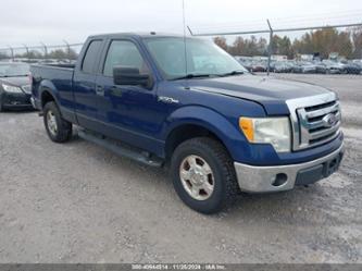 FORD F-150 XLT